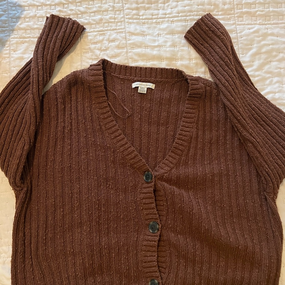 American Eagle Cropped Sweater